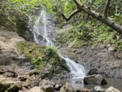 【特別映像付き】ハワイの滝に癒やされよう！初心者や子連れでも楽しめるリケケの滝トレイル