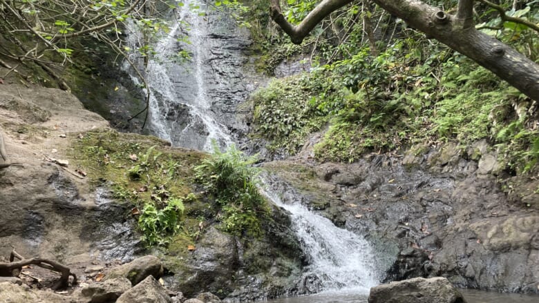 【特別映像付き】ハワイの滝に癒やされよう！初心者や子連れでも楽しめるリケケの滝トレイル