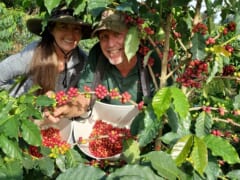 【猿田彦珈琲10周年！】ハワイのコーヒー豆品評会で1位を獲得したコナコーヒーが登場！