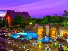 「シェラトン・グランデ・トーキョーベイ・ホテル」にハワイ感満載のガーデンプールが期間限定オープン！