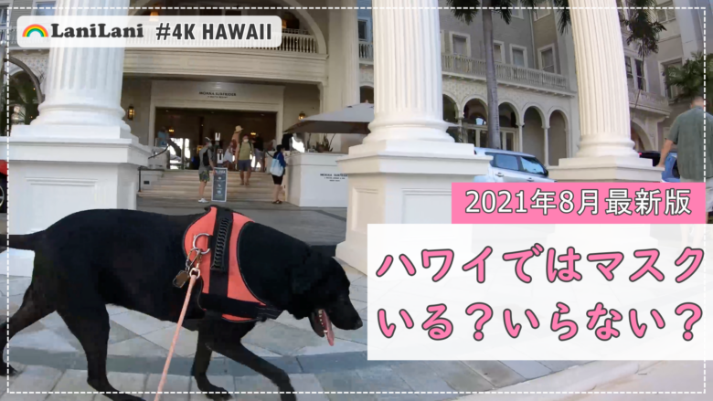 【4K HAWAII】ついにマスクなしのハワイに!?「ワイキキ」の気になる今をチェック!