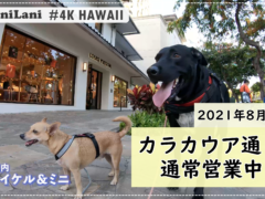 【4K HAWAII】ハワイ「カラカウア通り」は今どうなっているの？気になるお店の様子をご紹介！