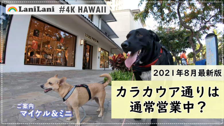 【4K HAWAII】ハワイ「カラカウア通り」は今どうなっているの？気になるお店の様子をご紹介！