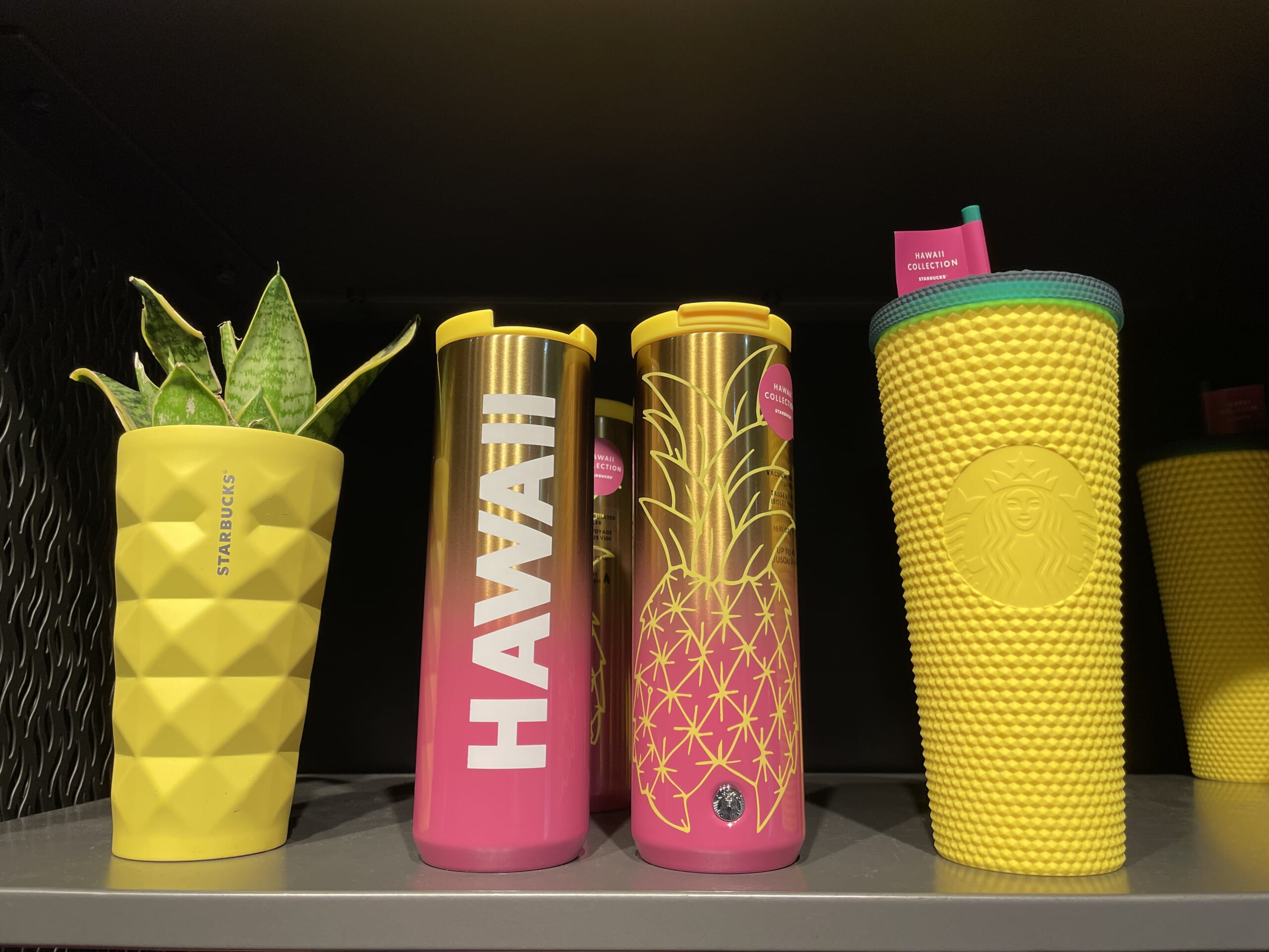 Starbucks ハワイ限定 Hawaii スターバックス スタンレー コラボ - 食器