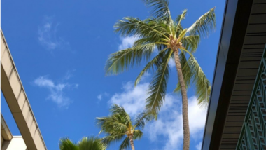 ハワイの「Safe Access Oahu Program」とは？レストランなどの利用時に接種証明・陰性証明を提示義務