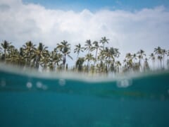ワイキキから徒歩圏内！エネルギーチャージができるパワースポット「Kawehewehe／カヴェヘヴェヘ」をご紹介