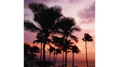 ハワイのビーチを思い出し・・・ハワイアンミュージック特集をお届け！