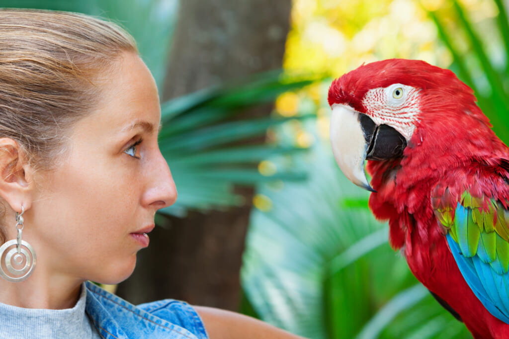 Face portrait of young girl looking at red macaw parrot