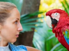 【ハワイ旅行前要チェック】知らなかった法律違反も！？ハワイの動物に関する決まりをもう一度確認しておこう