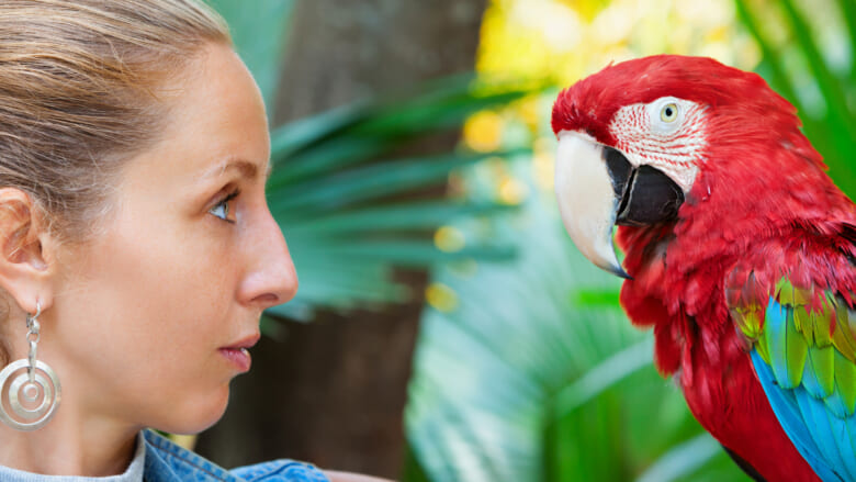 【ハワイ旅行前要チェック】知らなかった法律違反も！？ハワイの動物に関する決まりをもう一度確認しておこう