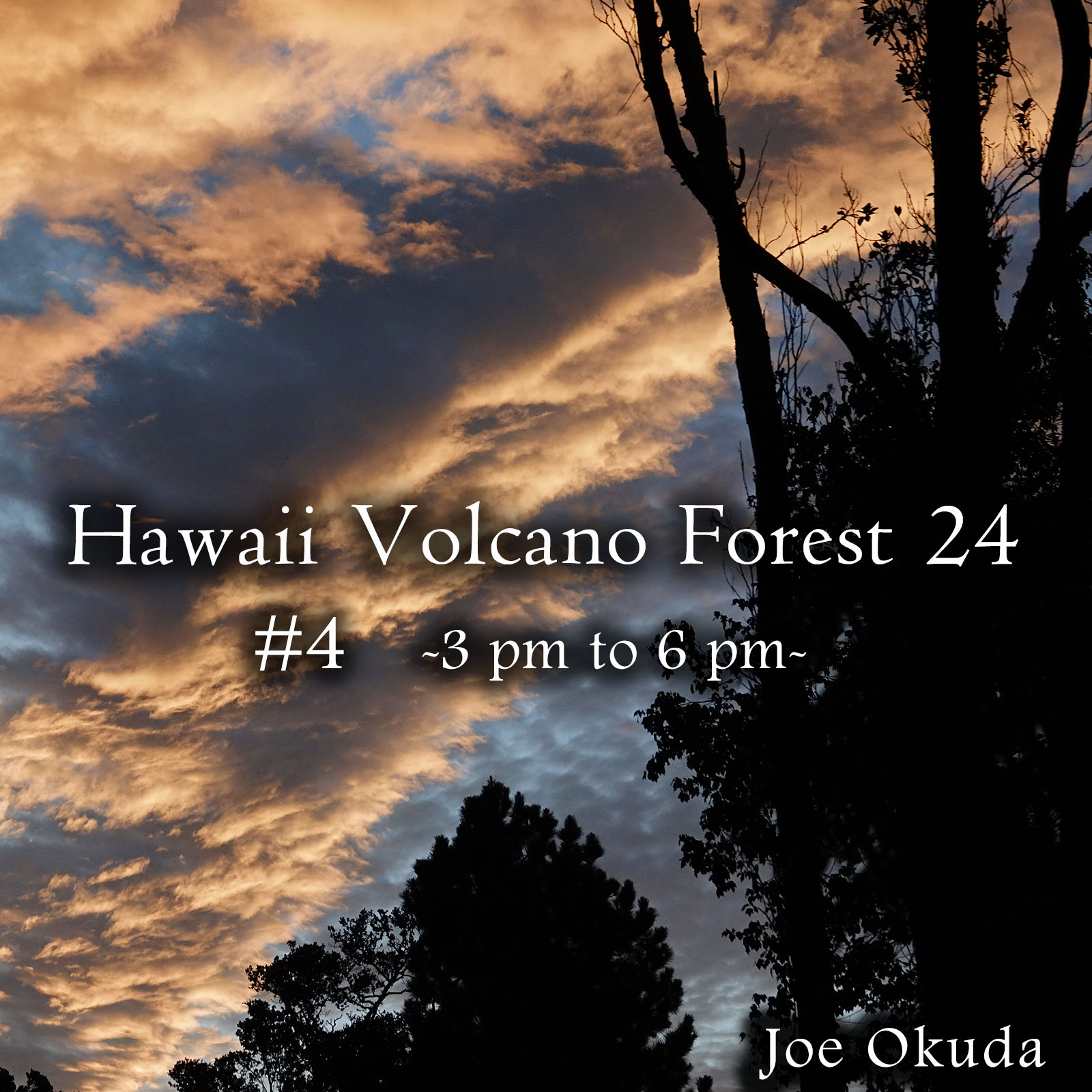 Hawaii Volcano Forest 24 #4 -03pm to 06pm- ('Normalize Volume' flag OFF Recommended)