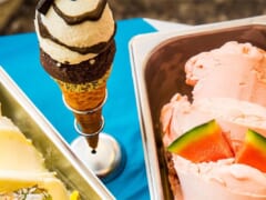 ロコが足しげく通うアイスクリーム店4選