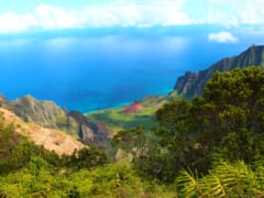 ハワイの禁断絶景スポット「天国への階段」がいよいよ撤去される！？立ち入り禁止になった理由も
