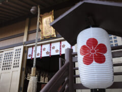 【現地体験レポート】「ハワイ金刀比羅神社・ハワイ太宰府天満宮」で七五三！