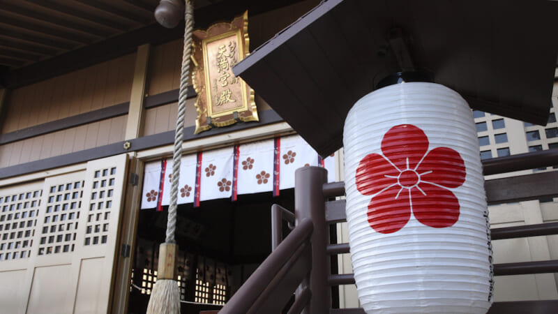 【現地体験レポート】「ハワイ金刀比羅神社・ハワイ太宰府天満宮」で七五三！