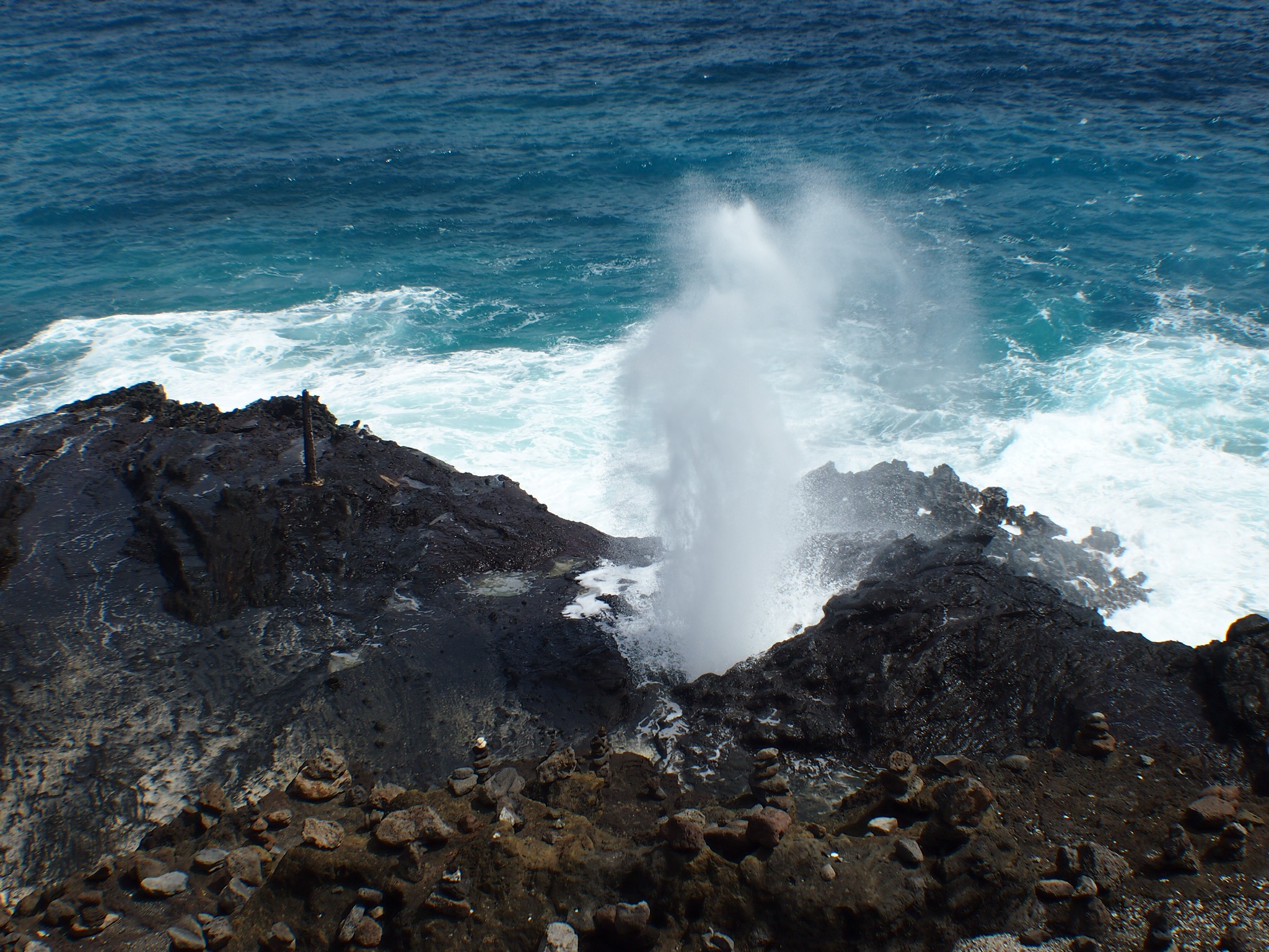 blowhole