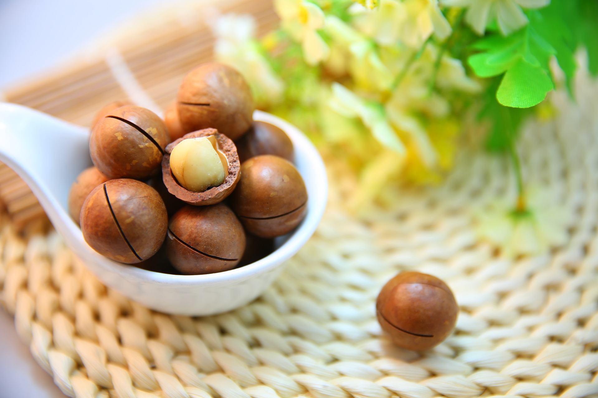 macadamia-nuts-gb4c8dd5a1_1920