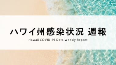 【2022年6月27日更新】ハワイの新型コロナウイルス感染状況データ
