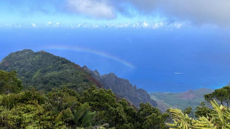 次のハワイ旅行では「ガーデンアイランド」カウアイ島に是非おいで下さい！