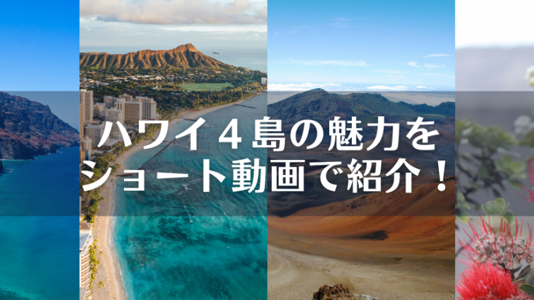 動画で各島の特徴や魅力を学ぼう!