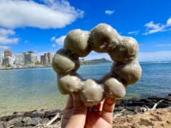 【在住者レポート】ハワイのサウスキング通りに「アロハドーナツカンパニー」がオープン！
