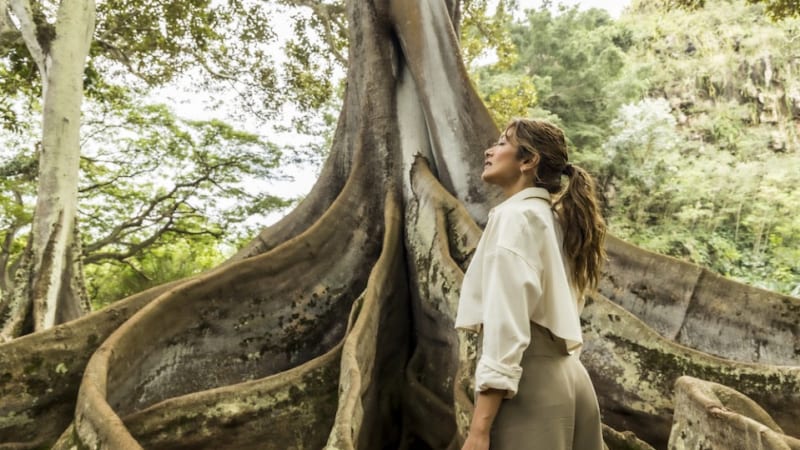 ハワイ州観光局、モデルのローラさんをマラマハワイ・アンバサダーに任命マラマハワイの大切さを語るインスタライブを4/23(土)10時から開催