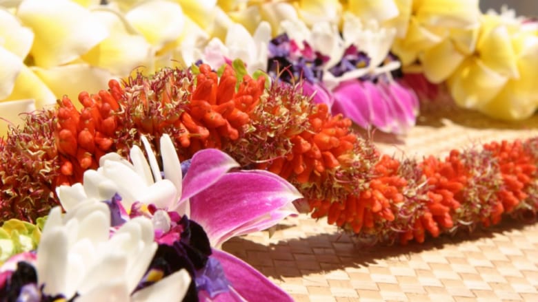 日本でも楽しめる毎年恒例のメイデーイベントを紹介ハワイのメイデーは文化的シンボルのレイを祝う日