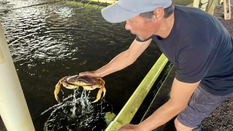 世界で初めて次世代発電方式を成功させた、ハワイ州立自然エネルギー研究所のツアーを体験!