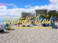 【4K HAWAII】癒しにも作業用にも♪ ワイキキビーチの定点カメラ映像をお届け！