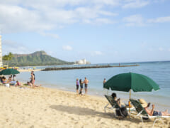 ハワイでの新たな過ごし方「キャンプ」でも大活躍！ベジセーフ監修「トラベルウォーター」が50％OFFで販売中