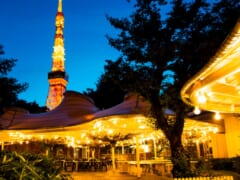東京プリンスホテルより、レトロハワイがテーマのバーベキュー「森のビアガーデン」7月1日より営業開始！