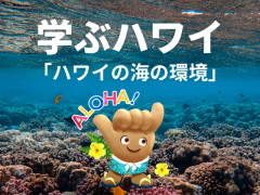 【学ぶハワイ】ハワイの海を守ろう！