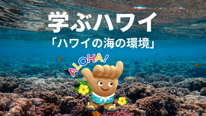 【学ぶハワイ】ハワイの海を守ろう！