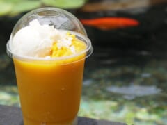 マンゴー・マンゴー・デザート/Mango Mango Dessert