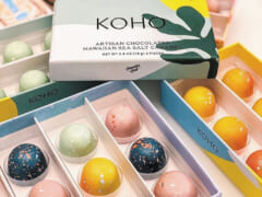 コホ/KOHO