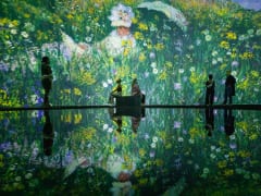 モネの世界に魅了される｢Beyond Monet: The Immersive Experience｣