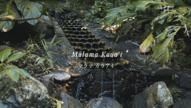 ハワイ州観光局、マラマ カウアイの動画を公開！
