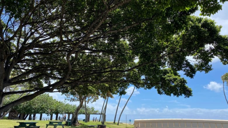 カハラビーチ（Kahala Beach）