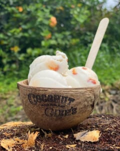 浅草と麻布十番に登場！マウイ島が生んだヴィーガンココナッツアイスクリーム店が新店オープン！