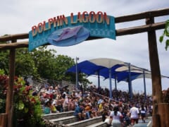 ハワイの「シーライフパーク」が完全キャッシュレス化！