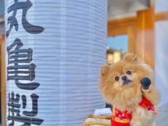 【ハワイ最新情報】ワイキキにある丸亀製麺が進化して行列が緩和しました
