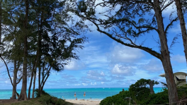 ワイマナロビーチ（Waimanalo Beach）