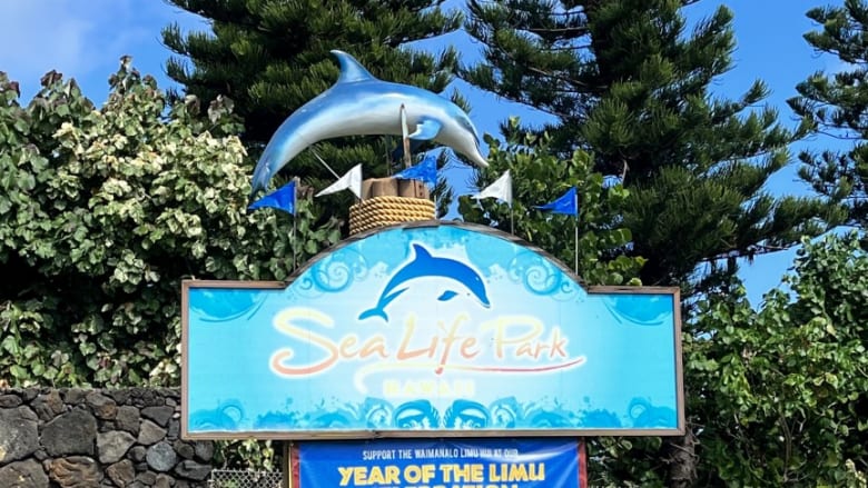 海洋生物の研究や保護活動も行っている「Sea Life Park」へハワイの海の生き物を見に行ってきました!