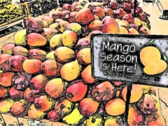 ハイキングやビーチでFUNなアウトドア時間