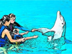 シーライフパークと潮吹き穴で海の楽しさに触れる！