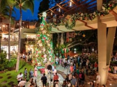 【12月20日現在】ホリデーシーズンまっただ中！ハワイのクリスマスツリー事情をお届け