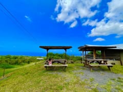 2023年NEXTトレンドのハワイ絶品グルメ！セビーチェ３選を一挙公開