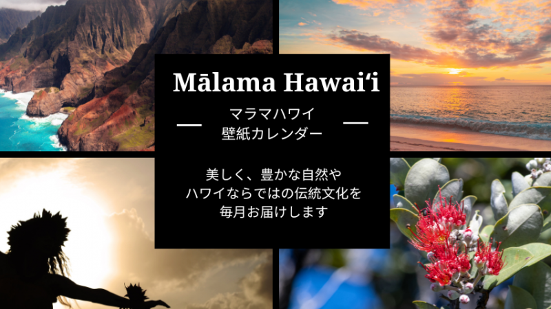 ハワイ壁紙カレンダー2023 ダウンロード