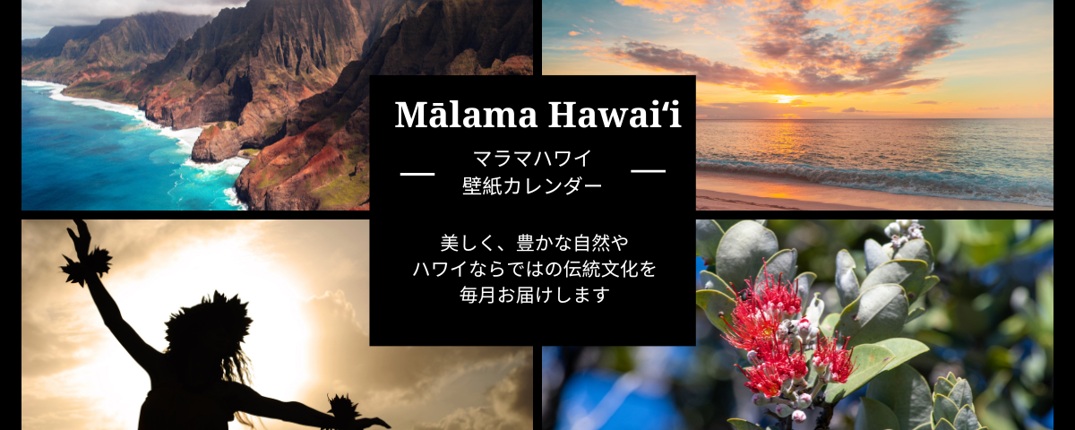ハワイ壁紙カレンダー2023 ダウンロード | ハワイの最新情報をお届け