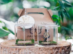 HISハワイ絶滅危惧種「モナーク・バタフライ」の保護活動を支援― 「LeaLeaバケーションレンタル」宿泊者25名にサナギのギフトボックスをプレゼント ―